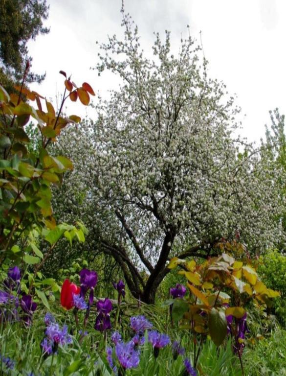 Le Grand Jardin Bed & Breakfast Beaune  Dış mekan fotoğraf
